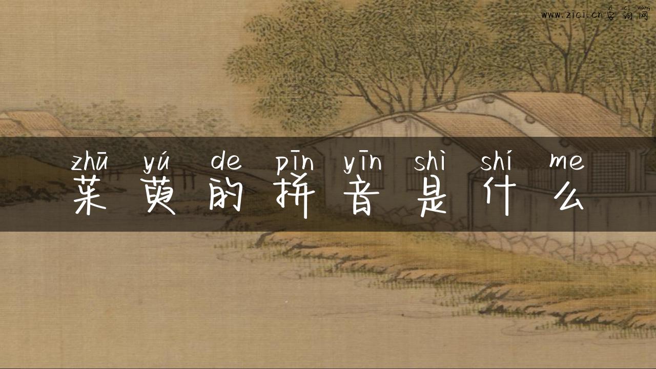 茱萸的拼音是什么