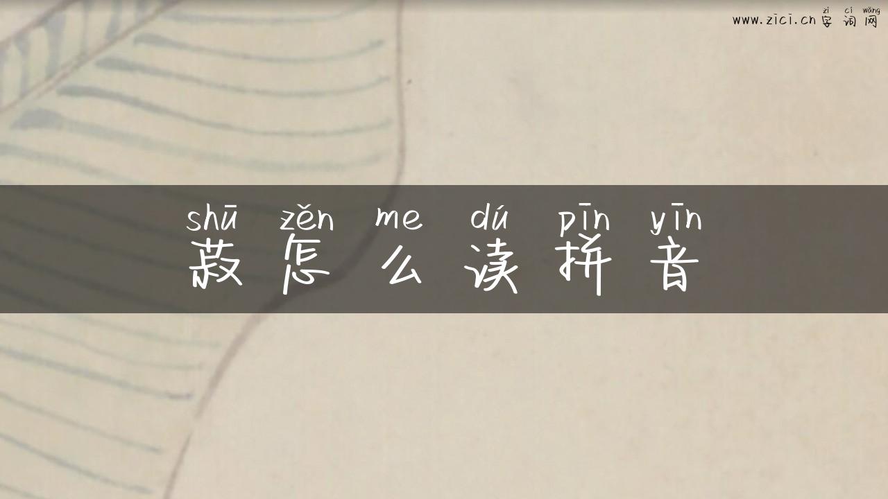 菽怎么读拼音