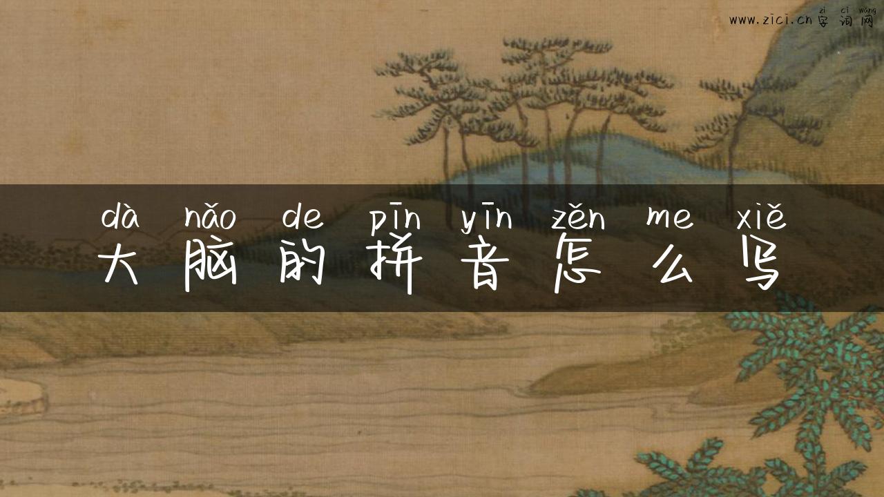大脑的拼音怎么写