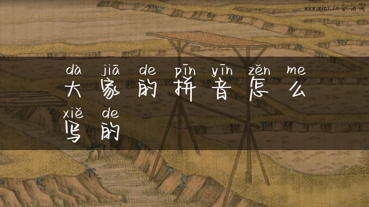 大家的拼音怎么写的