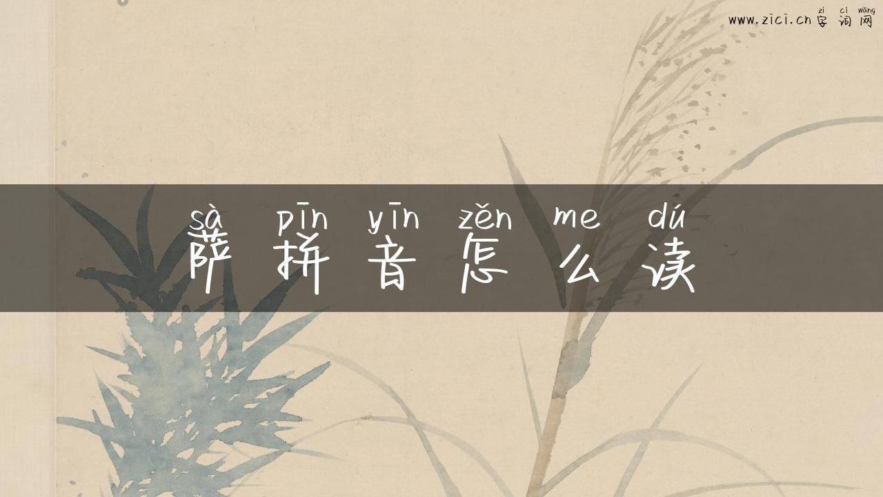 萨拼音怎么读