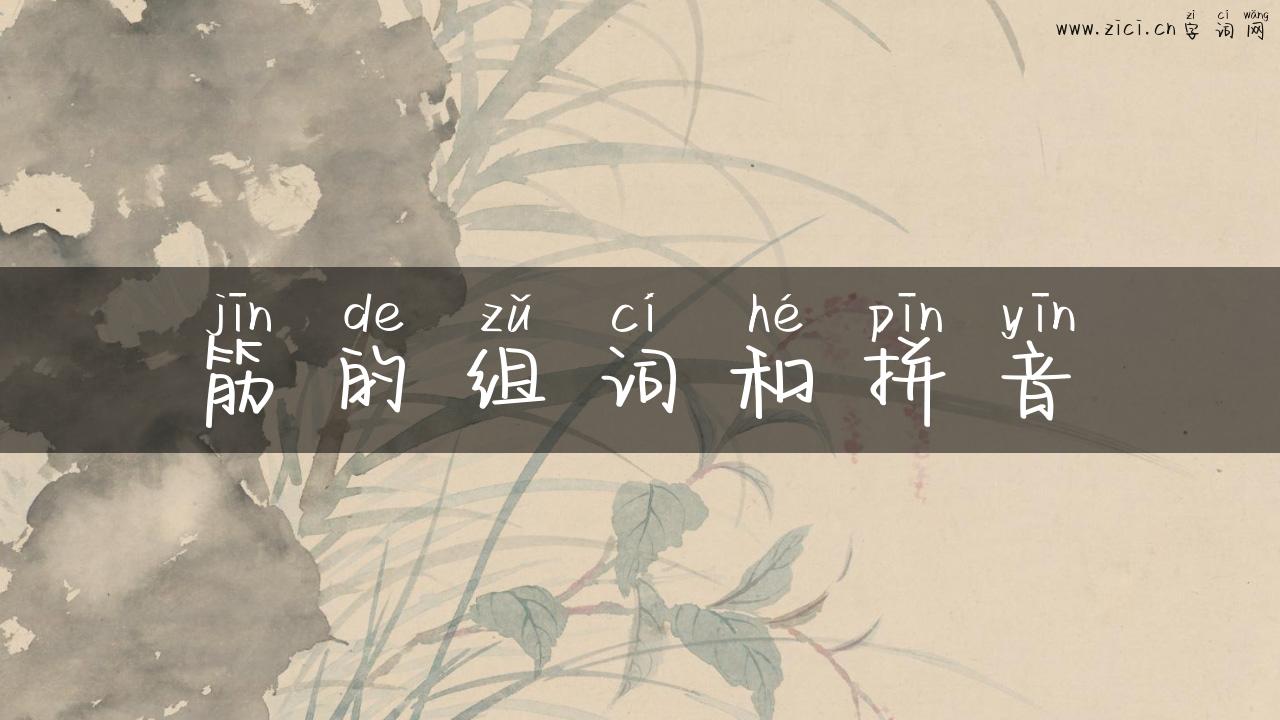 筋的组词和拼音