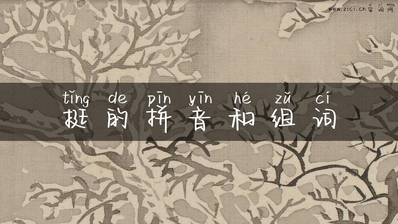 挺的拼音和组词