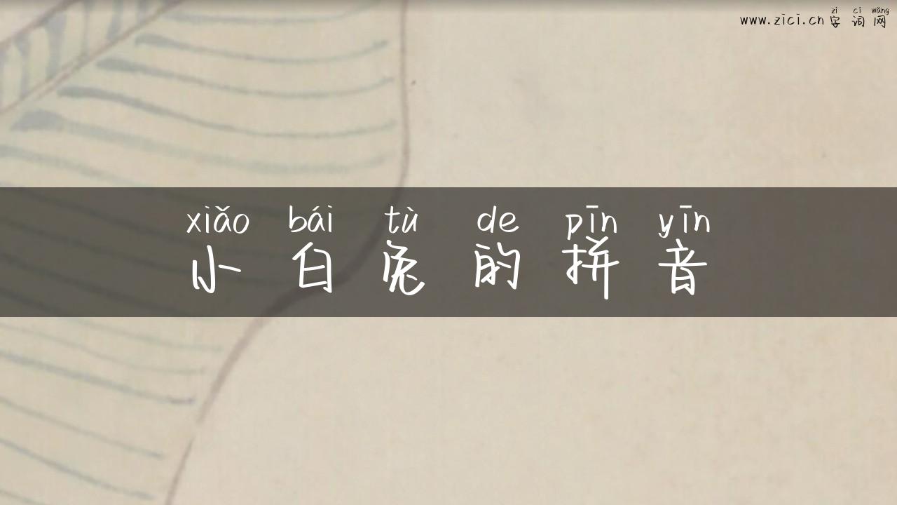 小白兔的拼音