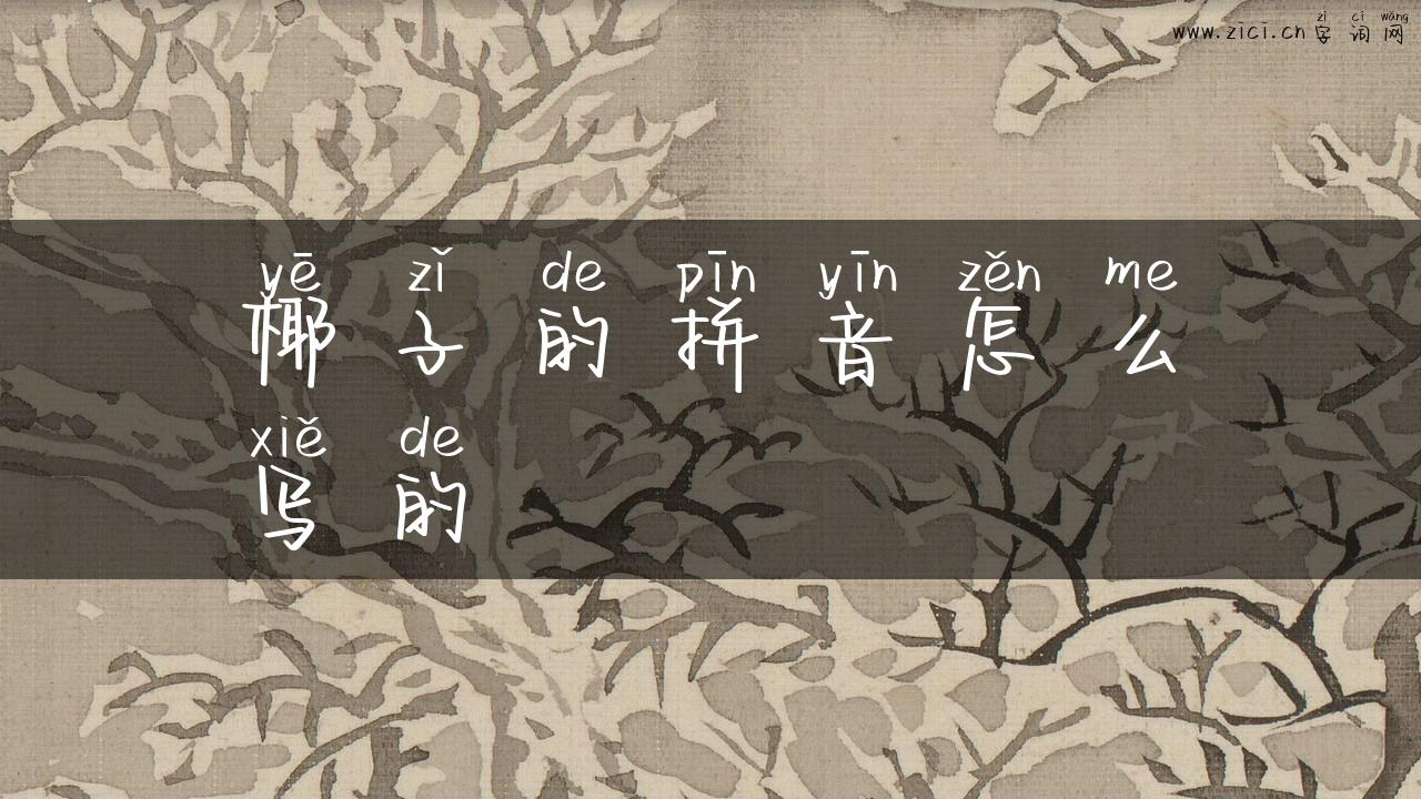 椰子的拼音怎么写的