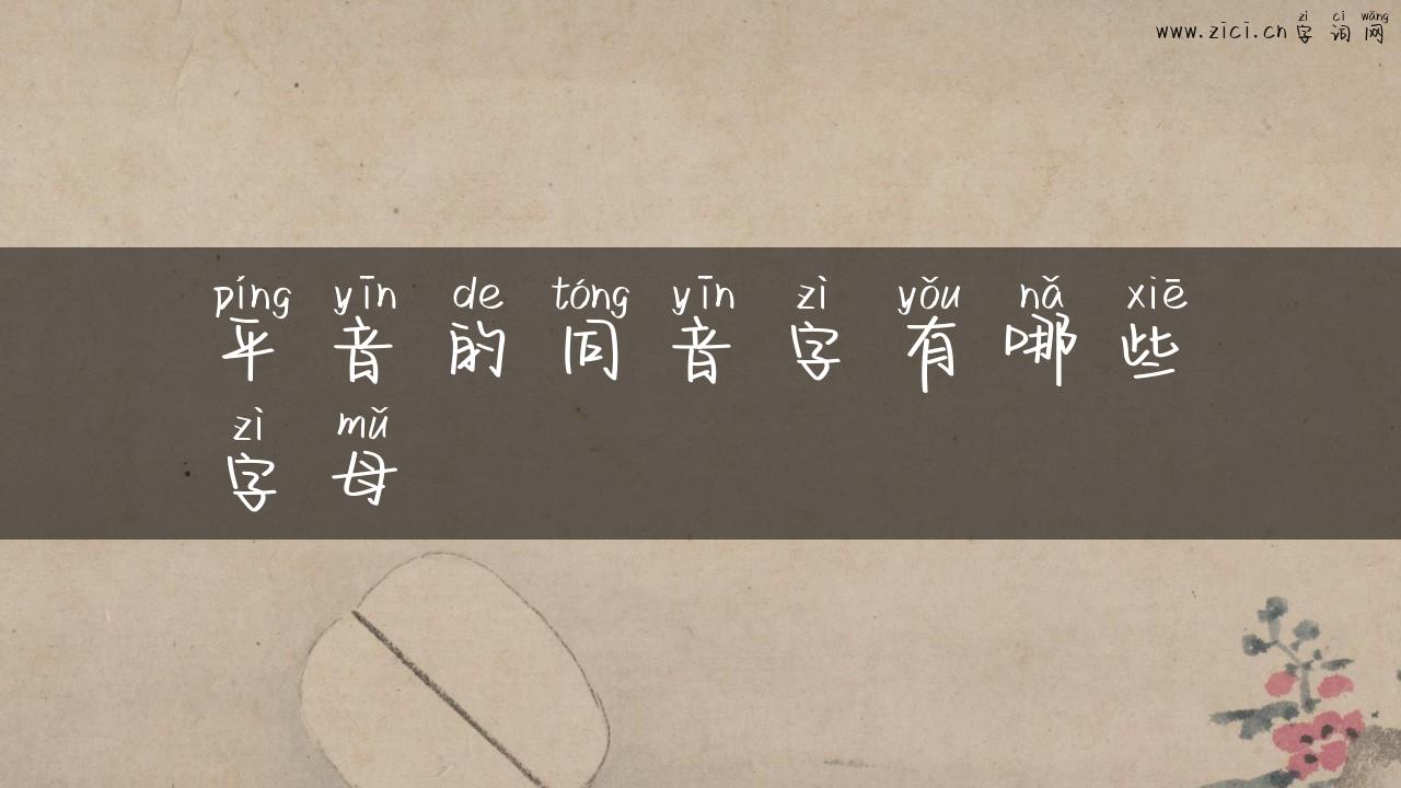 平音的同音字有哪些字母