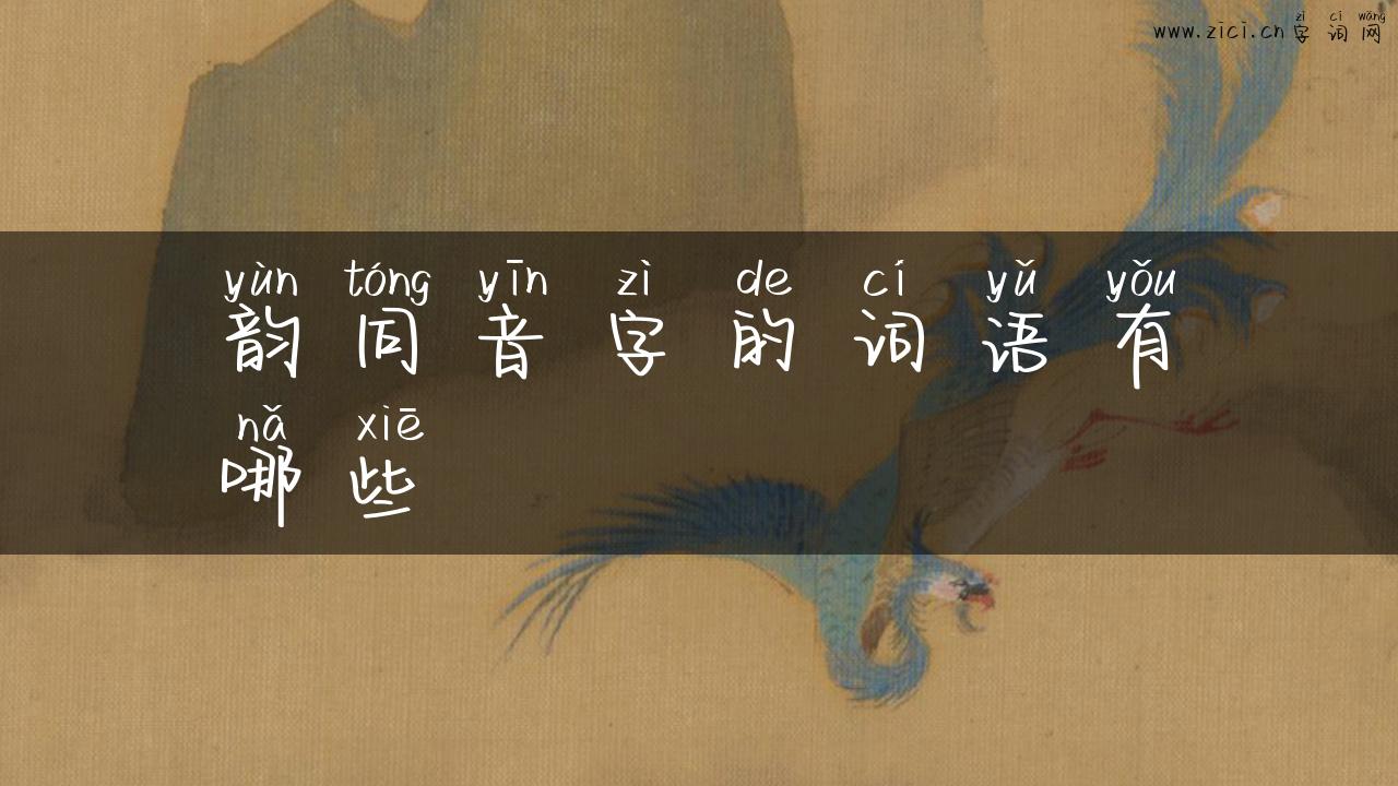 韵同音字的词语有哪些
