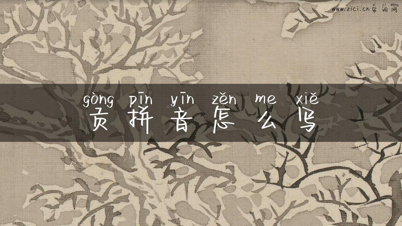 贡拼音怎么写