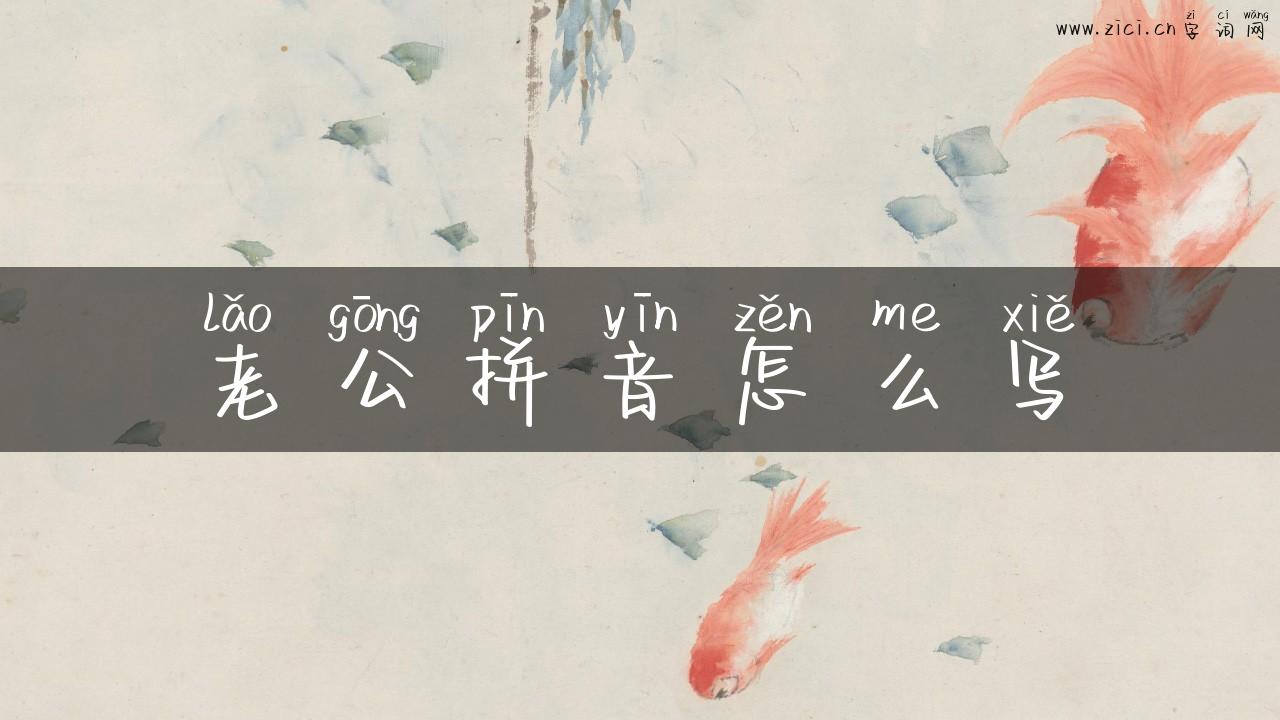 老公拼音怎么写