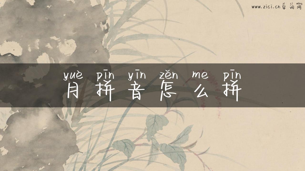 月拼音怎么拼