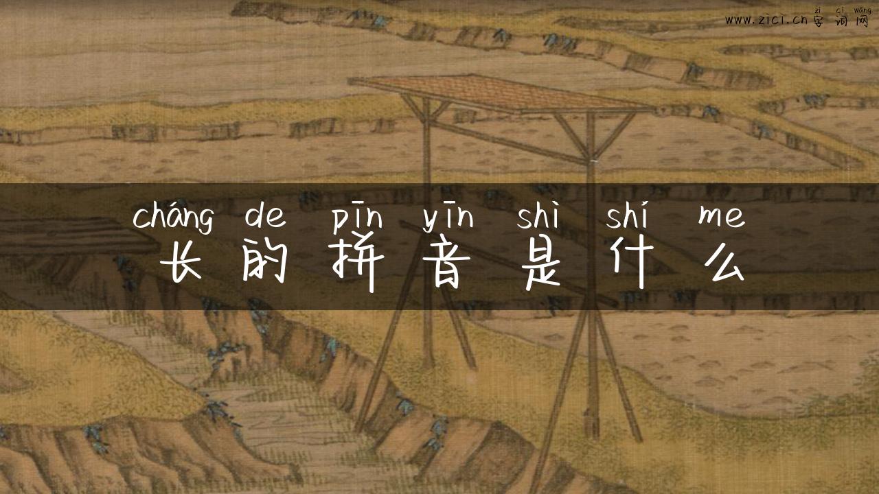长的拼音是什么
