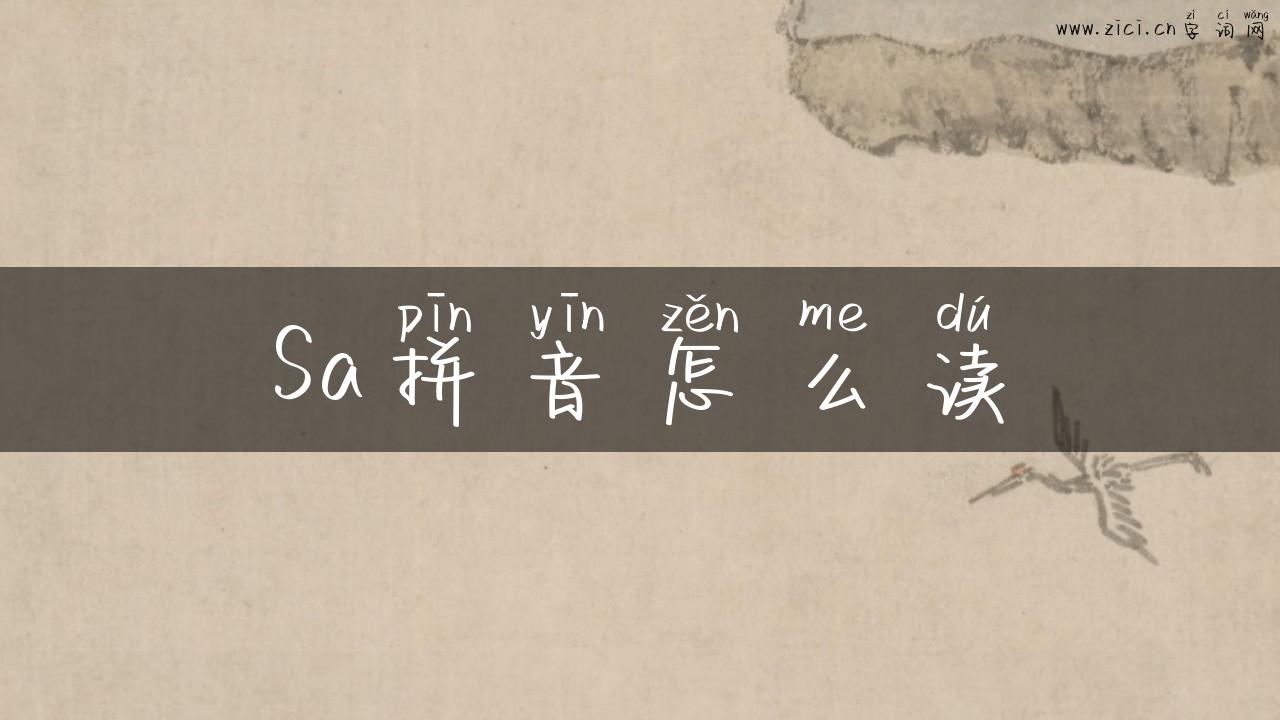 Sa拼音怎么读
