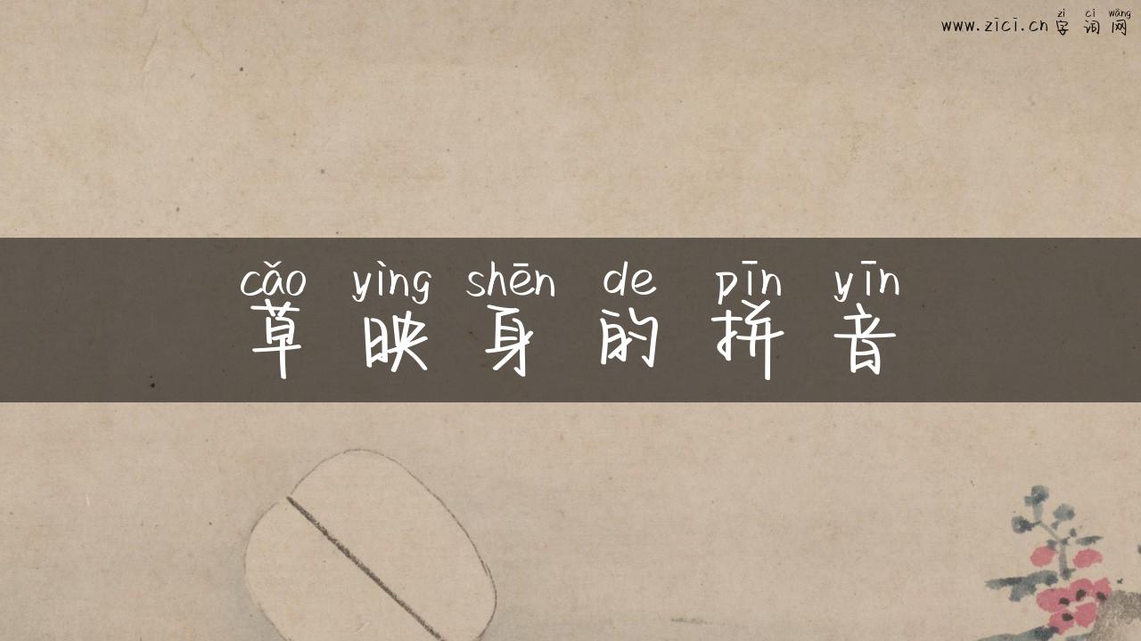 草映身的拼音