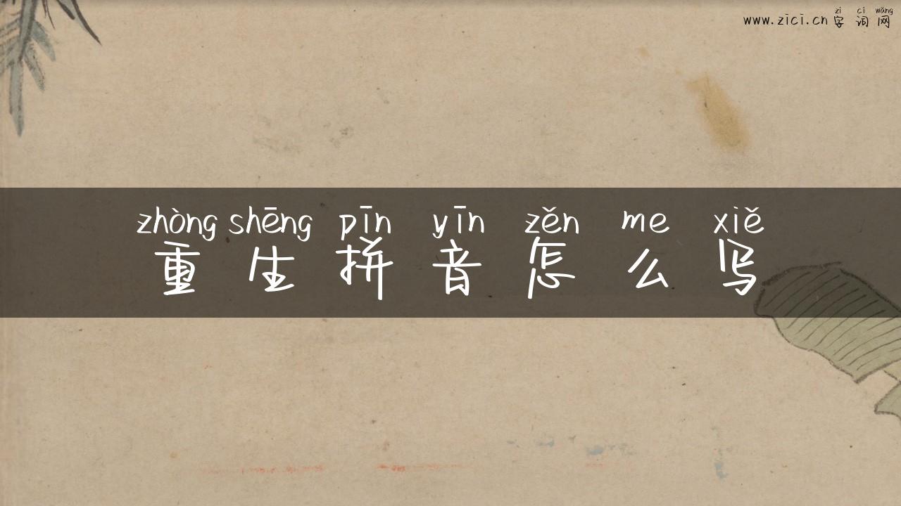 重生拼音怎么写