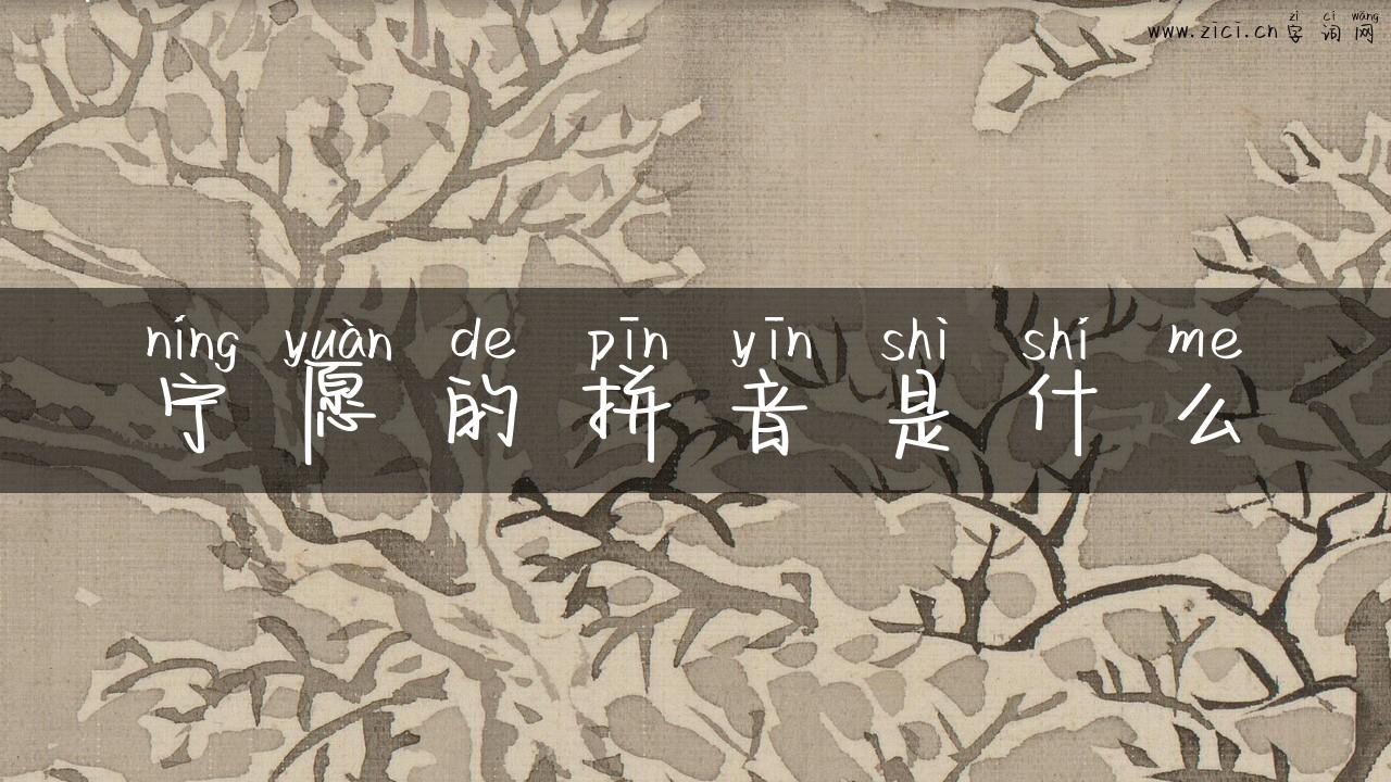 宁愿的拼音是什么