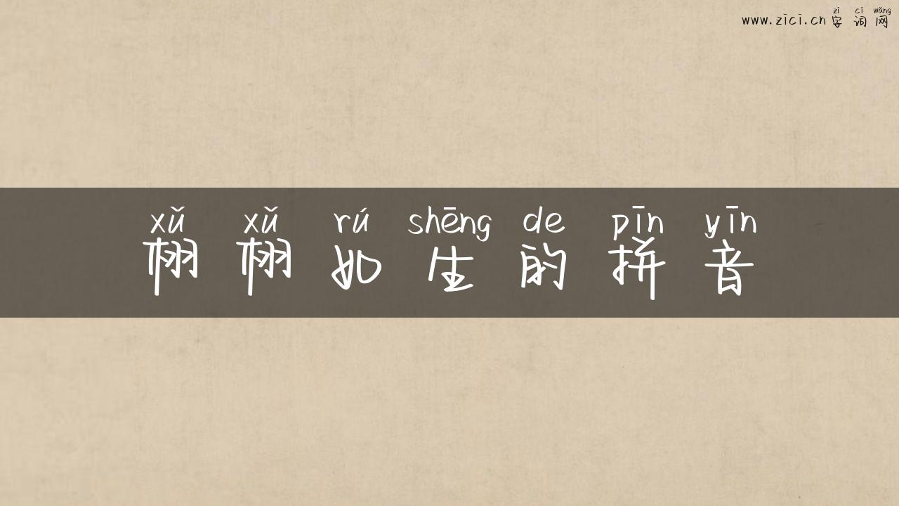 栩栩如生的拼音