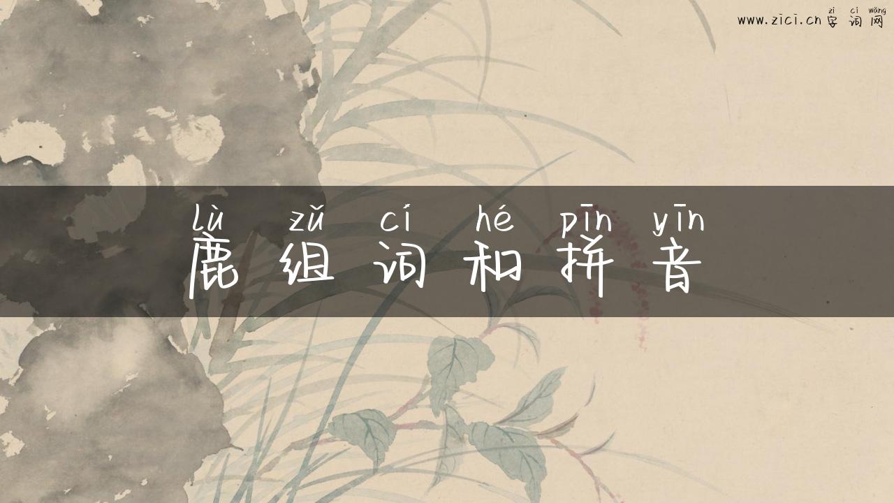 鹿组词和拼音