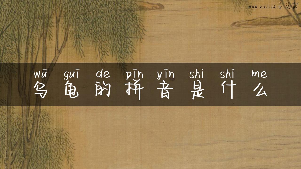 乌龟的拼音是什么