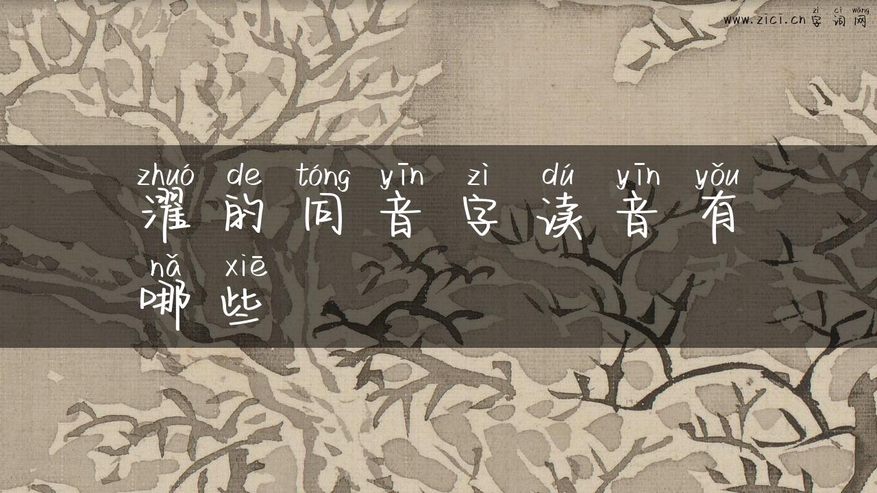 濯的同音字读音有哪些