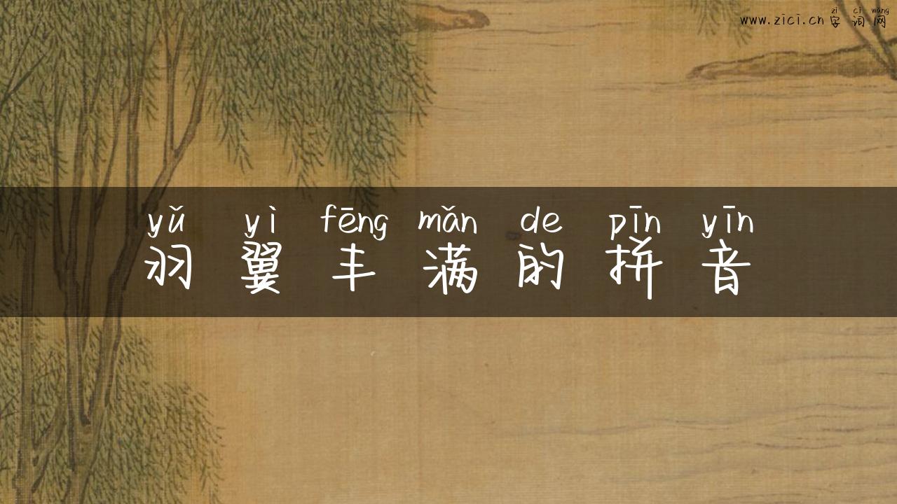 羽翼丰满的拼音