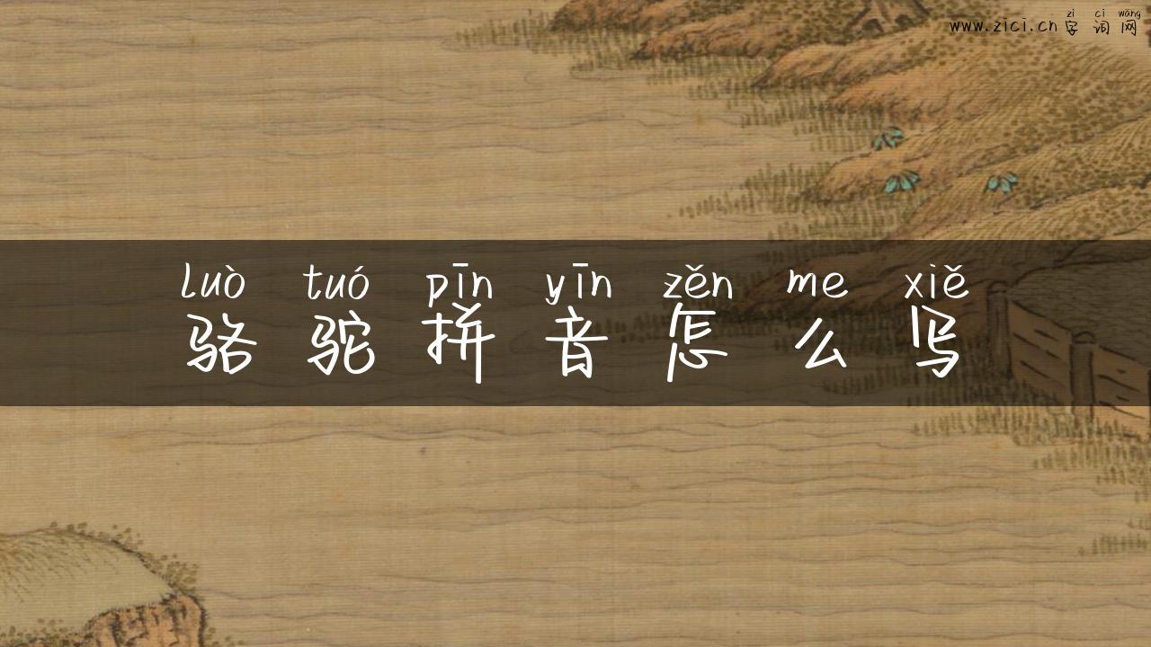 骆驼拼音怎么写