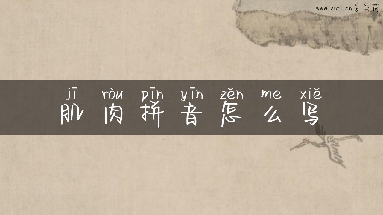 肌肉拼音怎么写