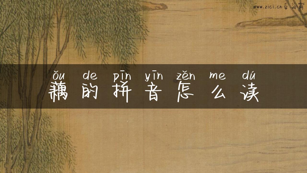 藕的拼音怎么读