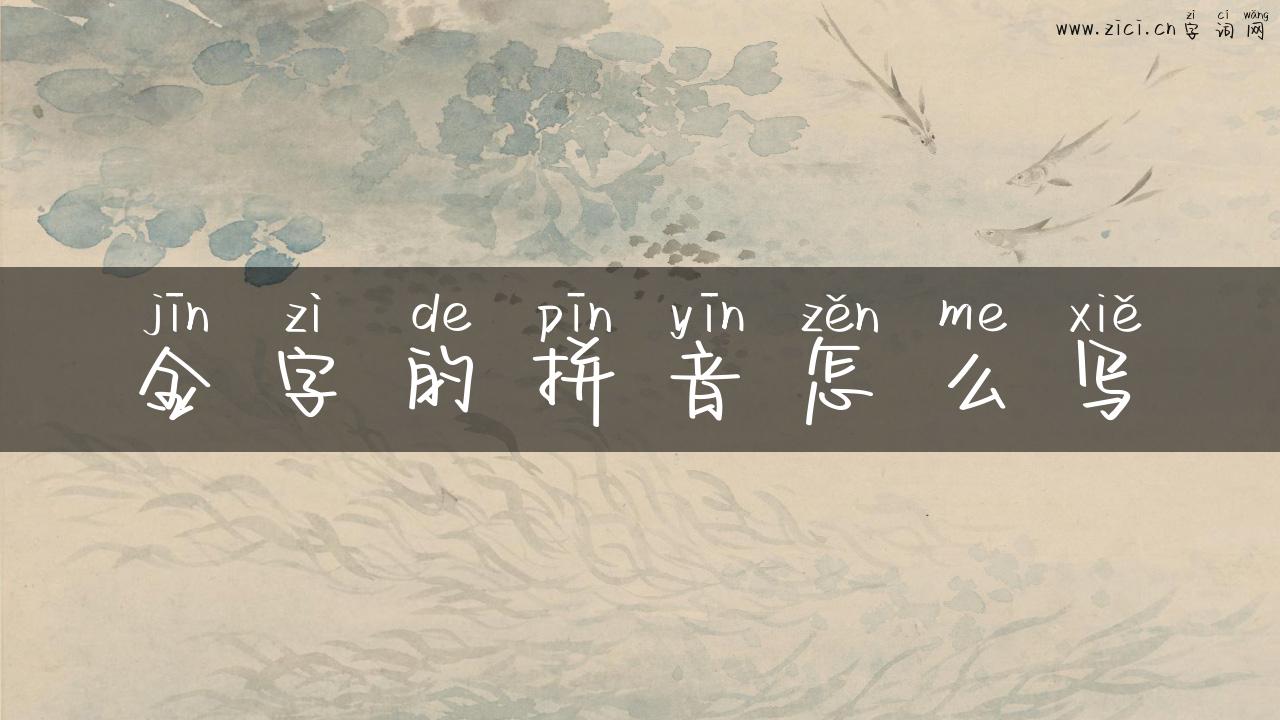 金字的拼音怎么写