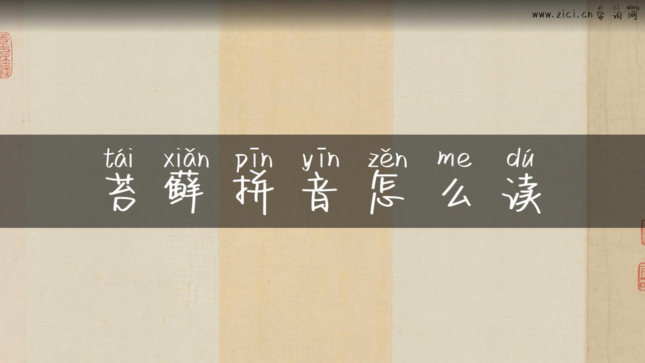 苔藓拼音怎么读