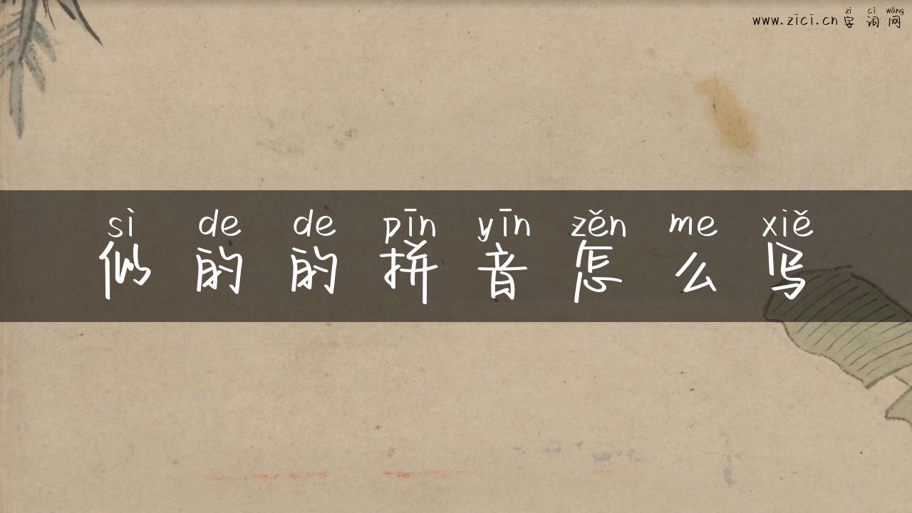 似的的拼音怎么写