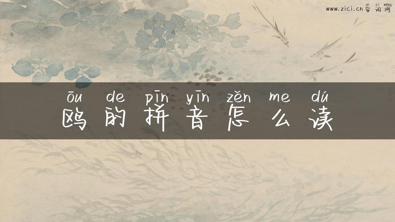 鸥的拼音怎么读