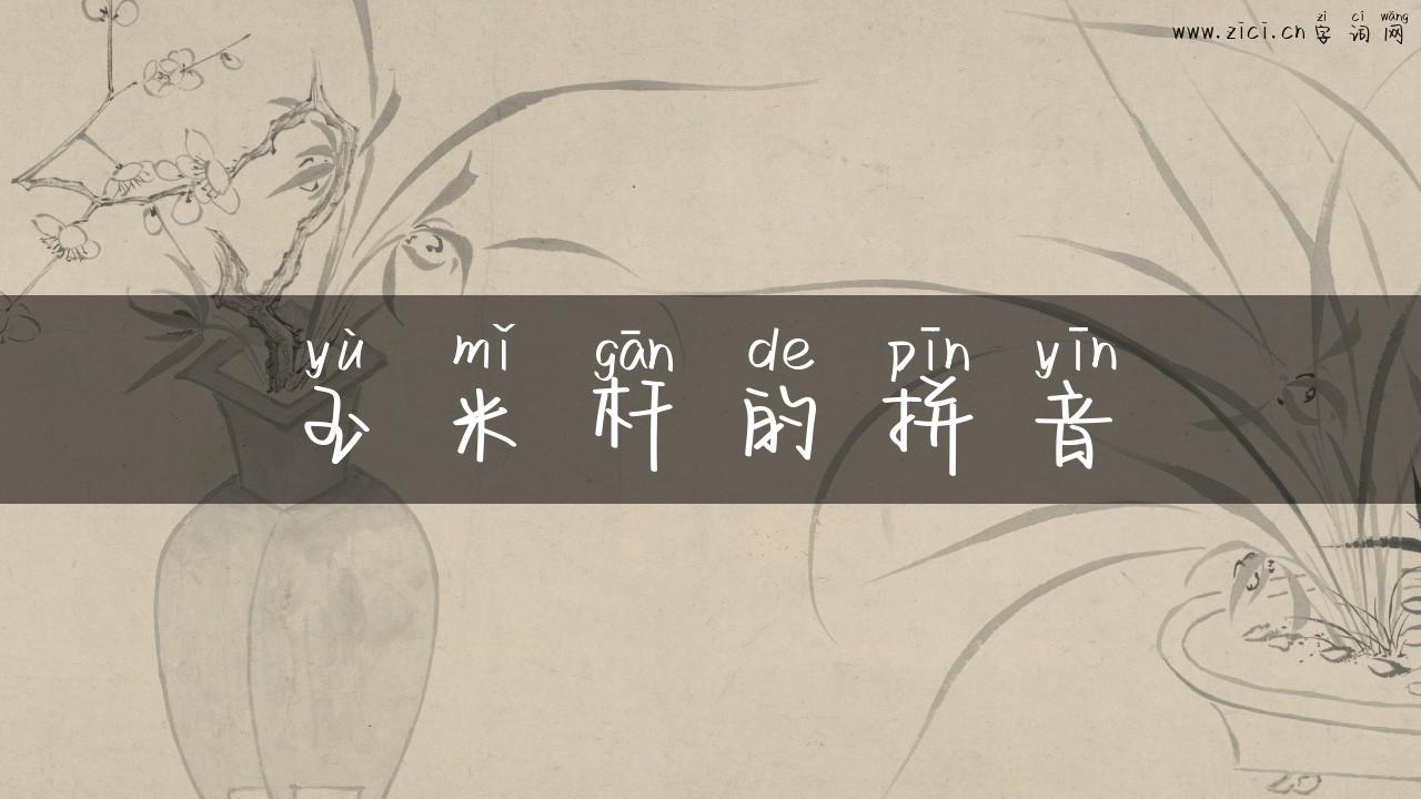 玉米杆的拼音