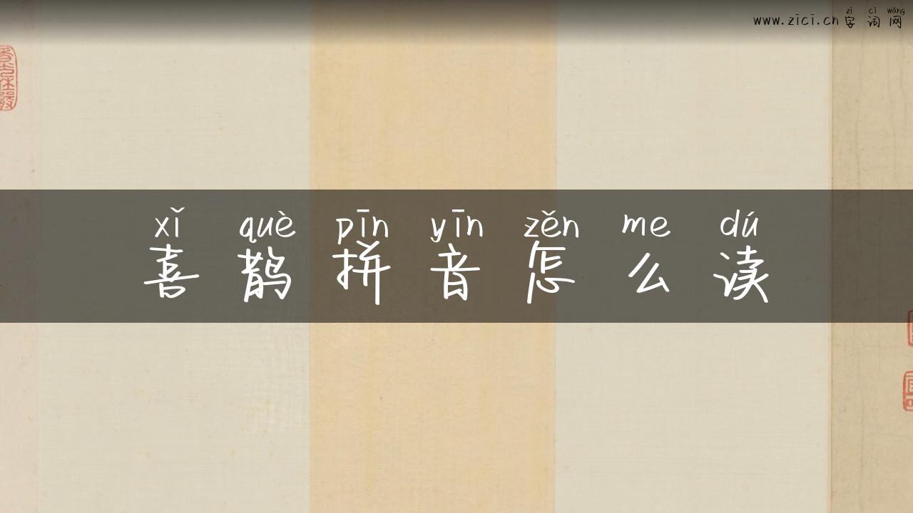 喜鹊拼音怎么读