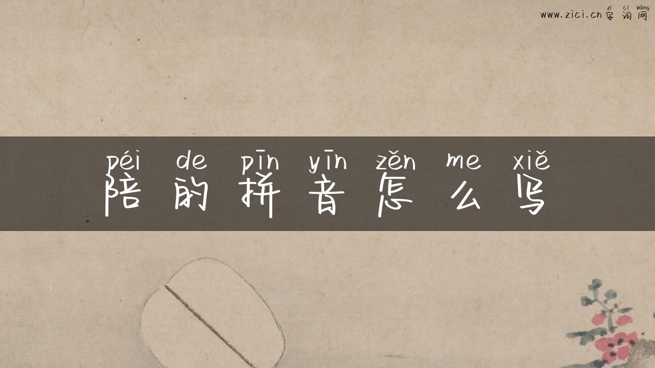 陪的拼音怎么写
