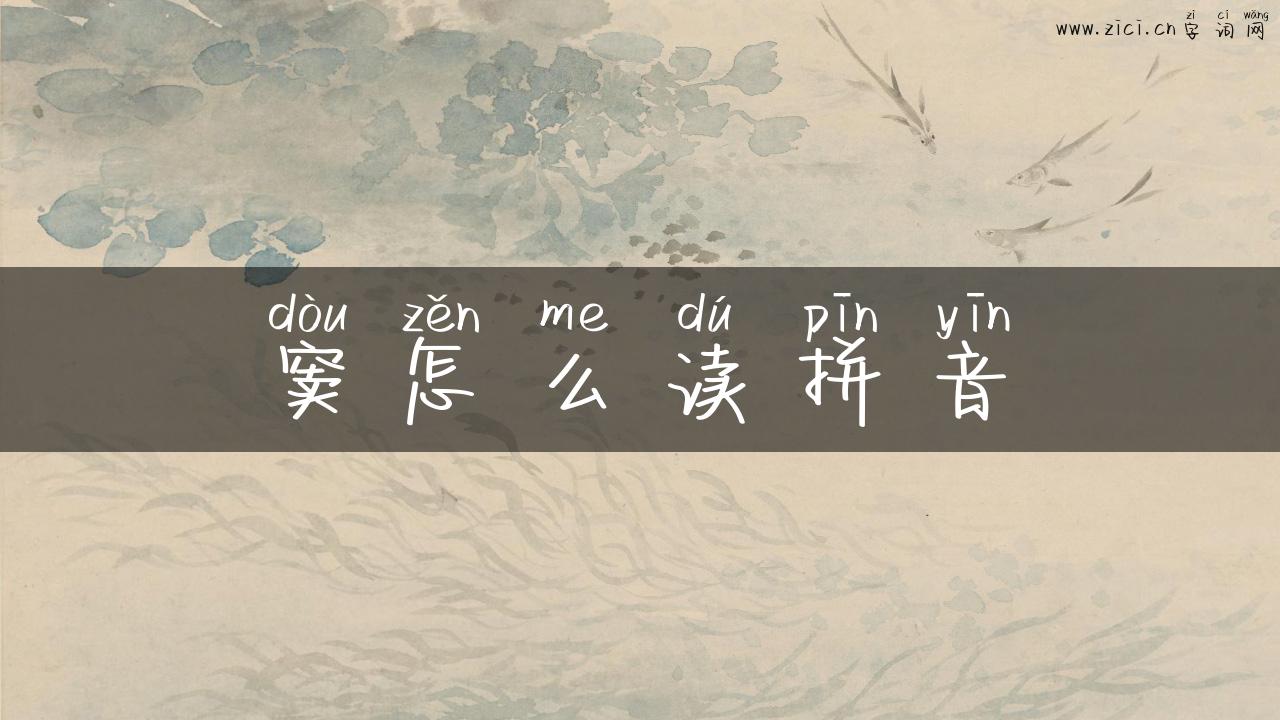 窦怎么读拼音