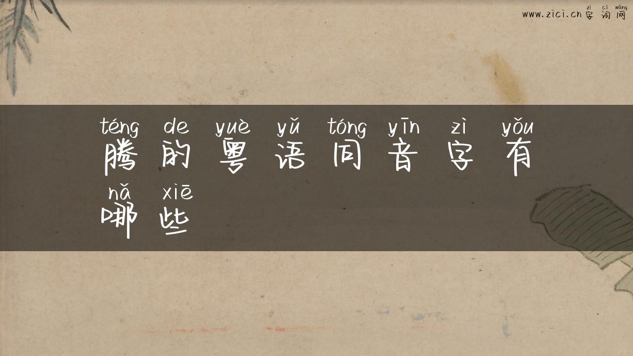 腾的粤语同音字有哪些