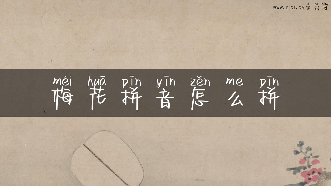 梅花拼音怎么拼