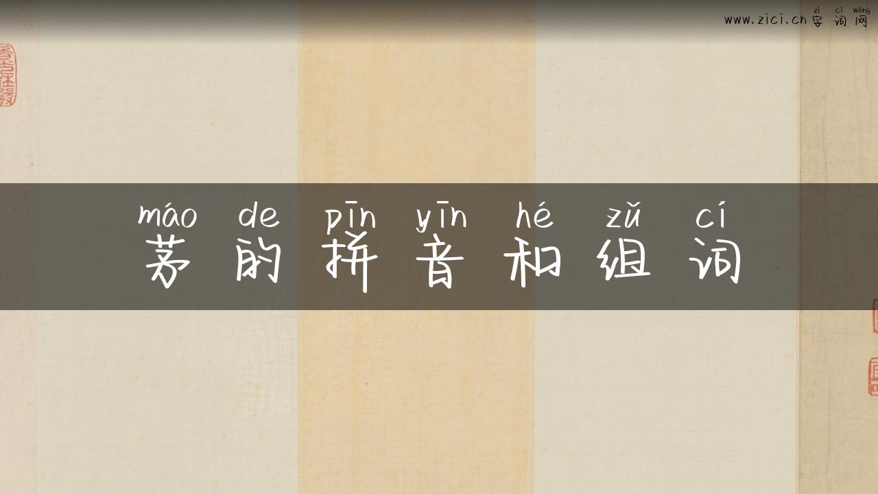 茅的拼音和组词