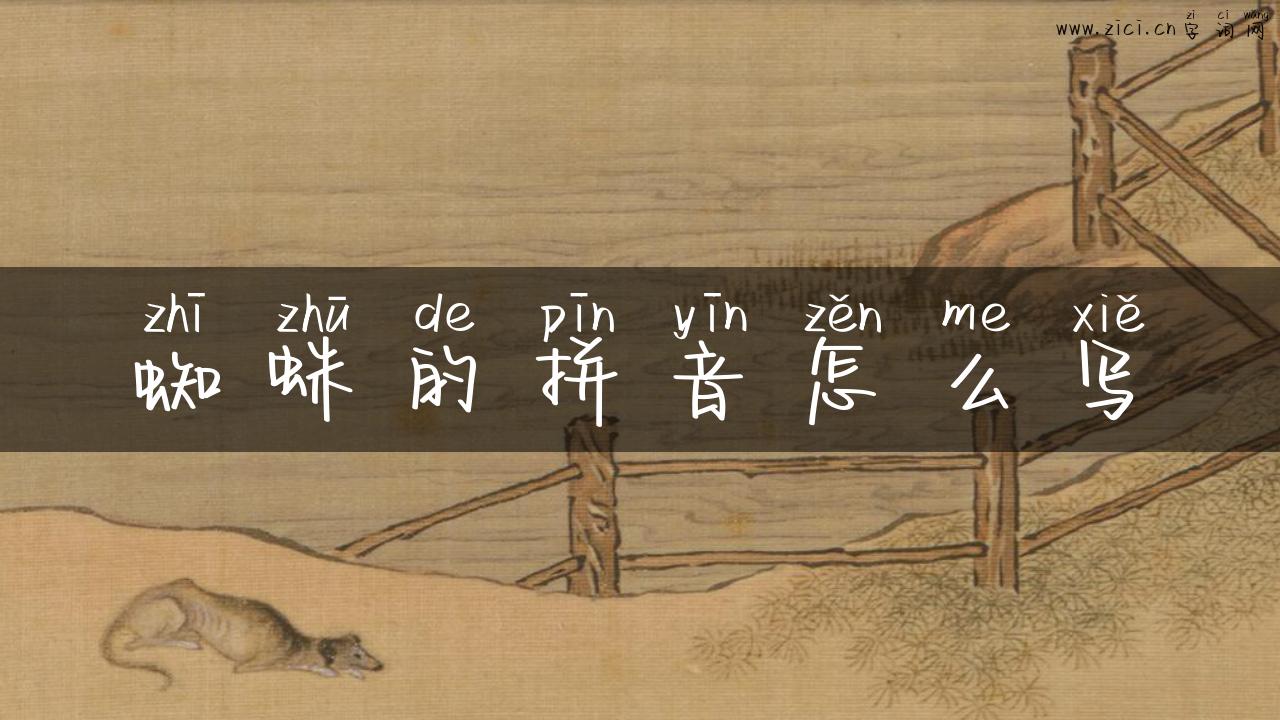蜘蛛的拼音怎么写