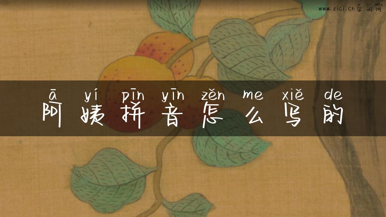 阿姨拼音怎么写的