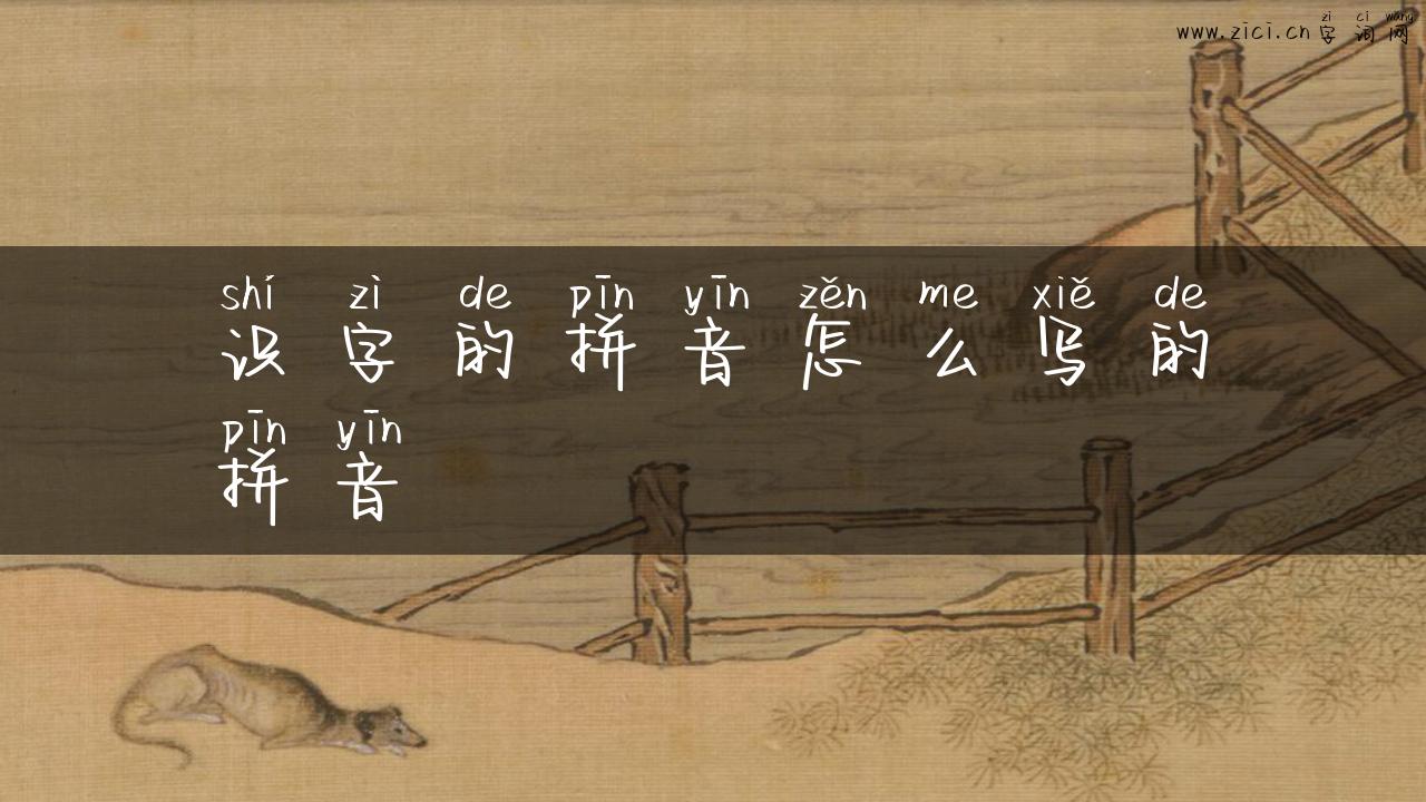 识字的拼音怎么写的拼音