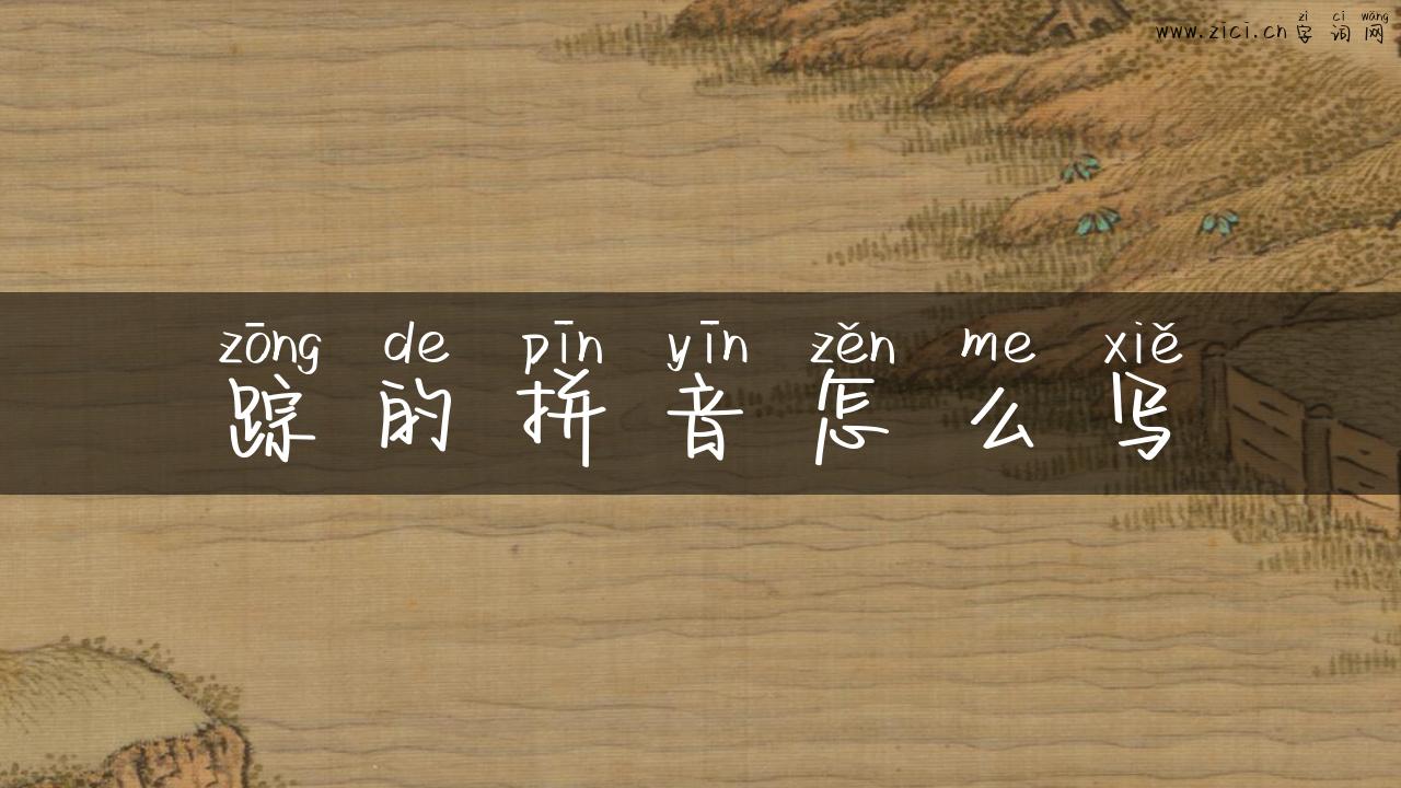 踪的拼音怎么写