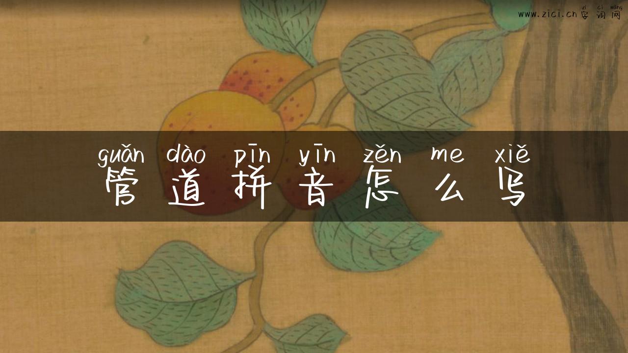 管道拼音怎么写