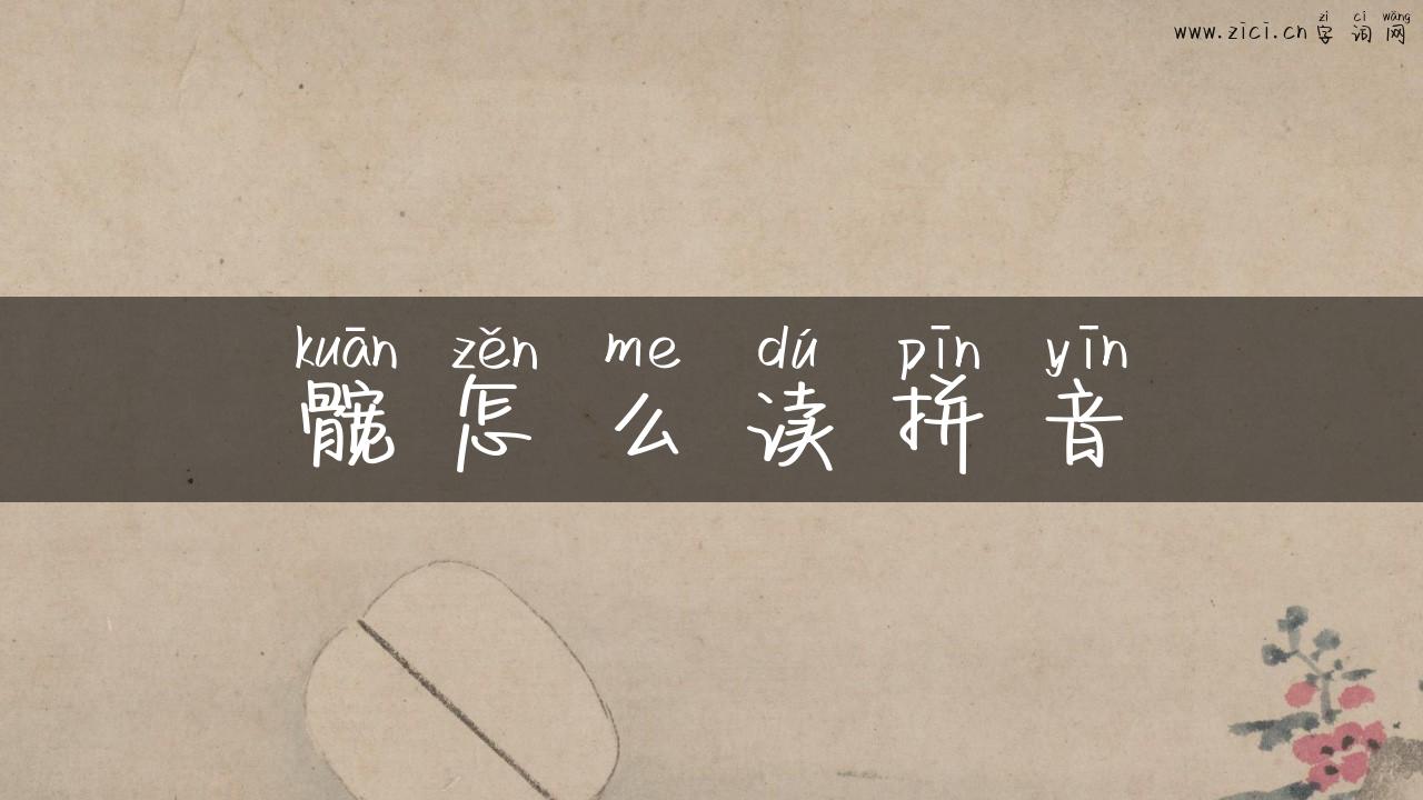 髋怎么读拼音