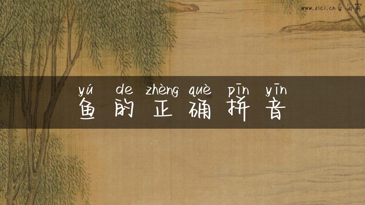 鱼的正确拼音