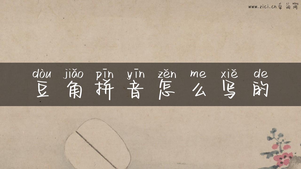 豆角拼音怎么写的