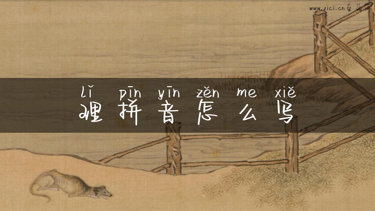 理拼音怎么写
