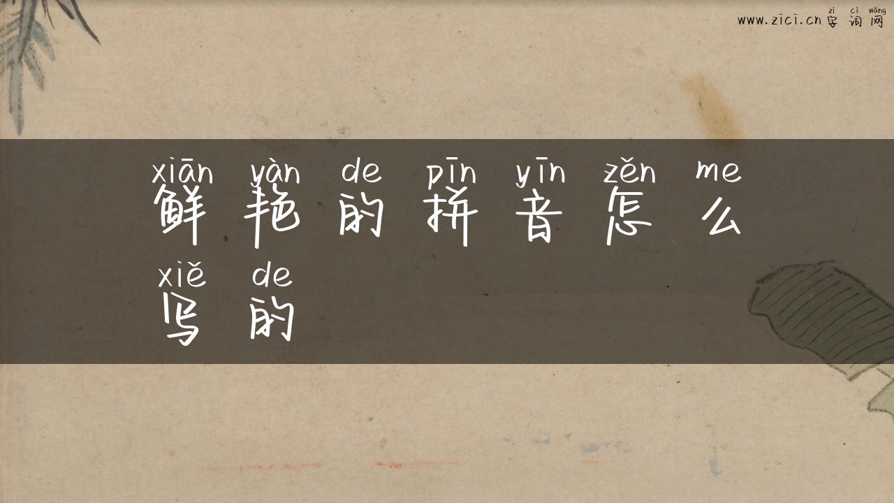鲜艳的拼音怎么写的