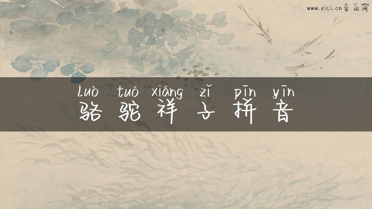 骆驼祥子拼音