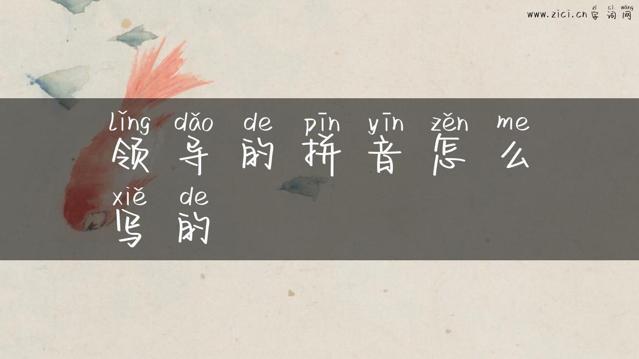领导的拼音怎么写的